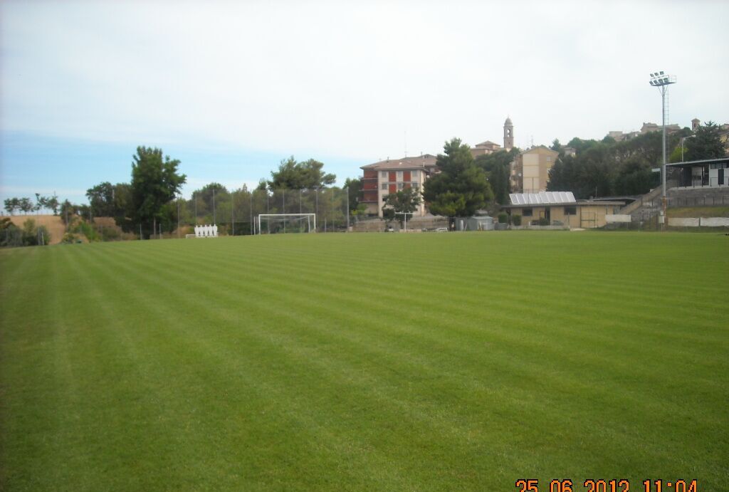 ANTE — campo in erba naturale
